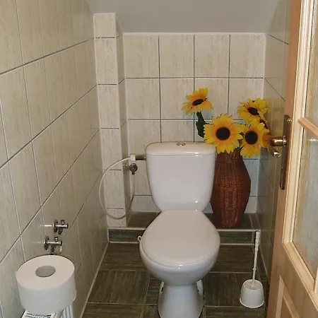 Na Briezku Apartment