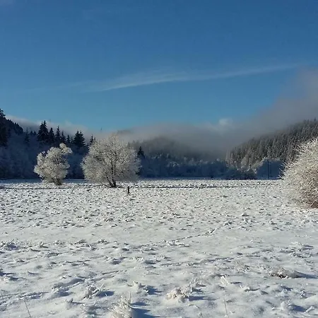 Διαμέρισμα Na Briezku Mlynky