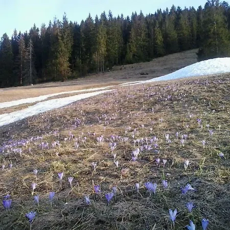 Apartment Na Briezku *